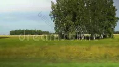 波夫：俄罗斯阿尔泰地区多云天气下，沿着黄色<strong>农田</strong>和森林移动